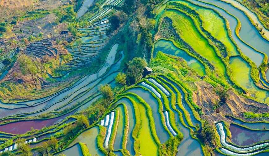 宝妈必备神器：武夷山市产品视频拍摄轻松育儿好帮手