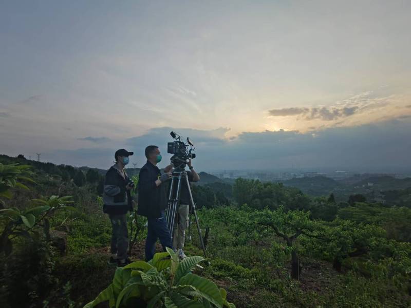 创意破圈！武夷山市电商产品宣传视频用故事化叙事引爆流量