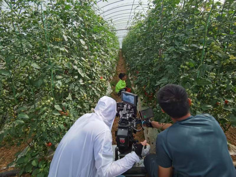 武夷山市产品宣传视频拍摄公司进阶指南，助力品牌抢占传播高地